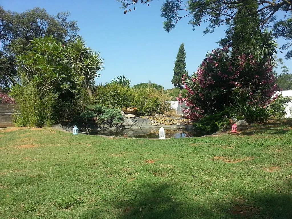 Apartamentos Y Habitaciones Kai Marbella (Adults Only) 西班牙