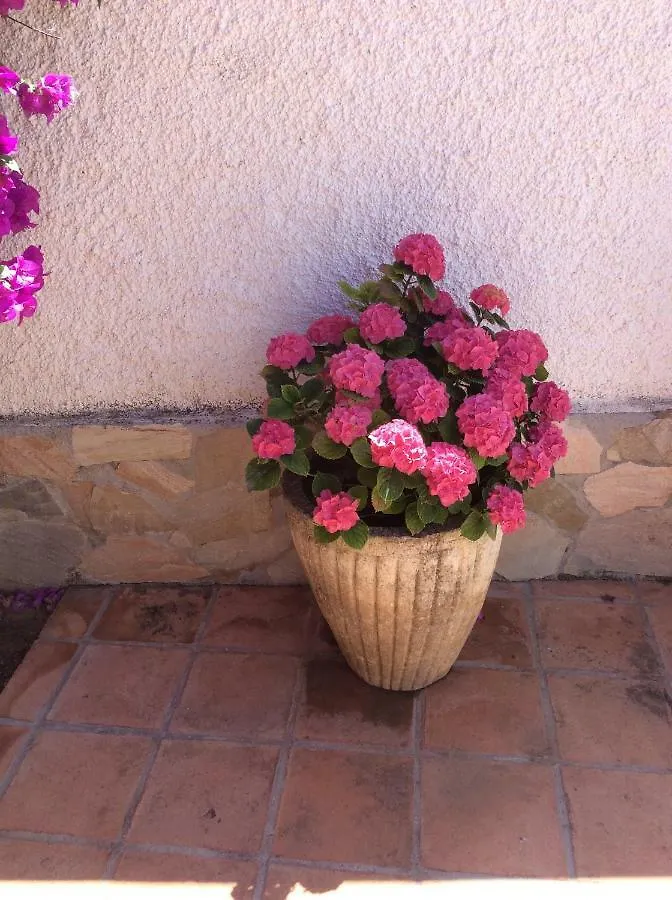 Apartamentos Y Habitaciones Kai Marbella (Adults Only)